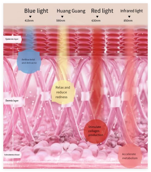Multi-Color LED Beauty Face Mask
